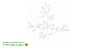 FOLHA MINI FICUS BRANCO 53CM BG403021WT