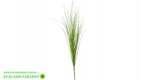CAPIM VERDE HASTE 60CM 43253VDC