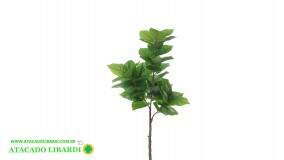 JIBOIA REAL TOQUE X47 VERDE 1,3M 42860002