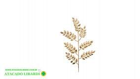 HASTE FOLHAGEM SHINNY 95CM X5 95615