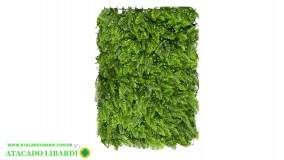 GRAMA VERDE SAMAMBAIA C/ EUCALIPTO 42666A