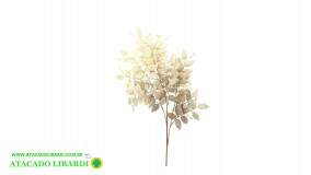 FOLHA HASTE BRANCA BG397012WT