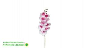 ORQUIDEA HASTE 3D X9 BRANCA BG3100356