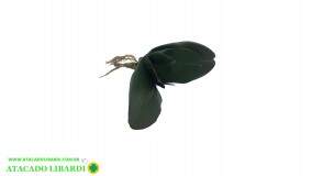 FOLHA ORQUIDEA C/RAIZ 26CM C/5 FOLHAS 42605