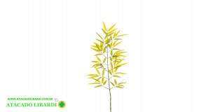BAMBU HASTE 1M 43562