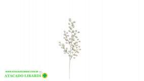 PICK BERRY BRANCO 48CM BG 510399