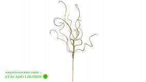 HASTE ESPIRAL 85CM C/GLITTER  DOURADO A5298001