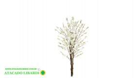 CEREJEIRA X450 CREME 1,6M 43690002