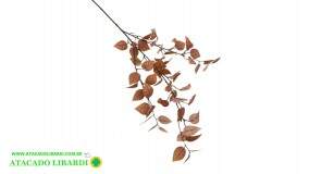 FLORES HASTE  ENV MARROM  BR397007BW