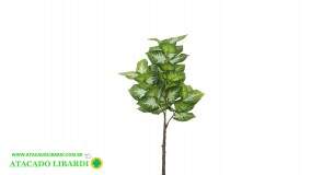 JIBOIA REAL TOQUE X47 VERDE 1,3M 42860003