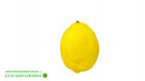 LIMAO SICILIANO ARTIFICIAL 10CM BG510282