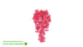 F.FLOR CEREJEIRA X207 ROSA PINCK 70CM 55712002