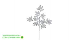 HASTE FOLHA 72CM C/GLITTER PRATA 99476002