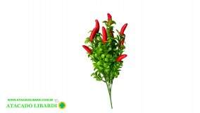BQ DE PIMENTA X5 29CM BG405271