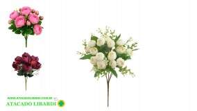 BQ DE PEONIA X5 BG505379V