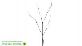 VIME HASTE  50CM 43022
