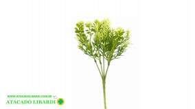 BQ DE VERDE DE FLORZINHA 30CM BG405326