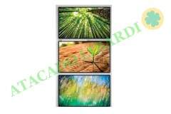 QUADRO PLAST 30X50CM RET PAISAGEM QUABFE02