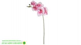 ORQUIDEA PHALAENOPSIS REAL X5 BEAUTY BRANCO 55CM 86161007