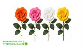 HASTE ROSA COLOMBIANA 64CM BG237209