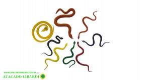 SOLAPA COBRAS COLOR 8PCS MD11804