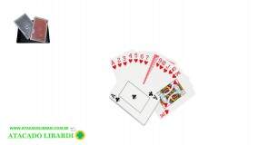 BARALHO PLAST 2UNI GL0704