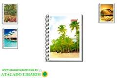 CADERNO 1/4 1M/96F FLEX ESPIRAL SORT 3026