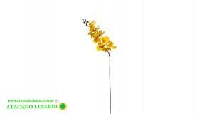 ORQUIDEA 90CM X9 TOQUE REAL AMARELA 43536AM