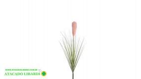 CAPIM HASTE PLUMA PRIMAVERA BG310030V