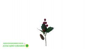 PICK BERRY NATALINO 22CM BG 240004
