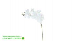ORQUIDEA PHALAENOPSIS REAL TOQUE X9 BRANCO 96CM 86192002