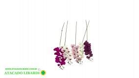 ORQUIDEA PHALAENOPSIS  X9 104CM 44324RS