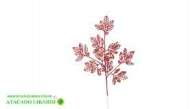 HASTE FOLHA 72CM C/GLITTER VERMELHO 99476003