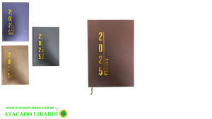 AGENDA EXECUTIVA 2025 21X15CM 340PAG 98838
