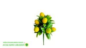 BQ DE LIMAO X5 21CM BG505438