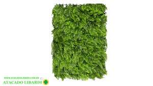 GRAMA VERDE SAMAMBAIA C/ EUCALIPTO 42666A