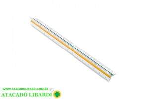REGUA ESCALIMETRO 30CM COLOR WPR02002