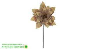 H.MANGOLIA GIGANTE EVA CREME 70CM 62804001