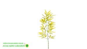 BAMBU HASTE 1M 43562