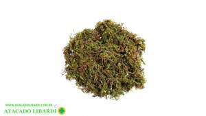 MUSGO VERDE NATURAL 40G