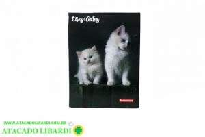 CADERNO UNIVERSITARIO 1MT/80F CD COSTURADO SORTIDO 3098