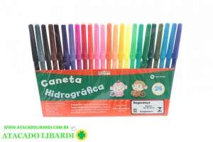 CANETA HIDROCOR 24PCS LEO E LEO 4582
