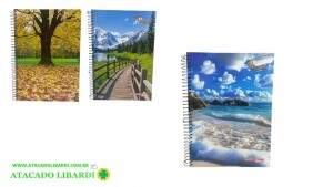CADERNO 10M/160F CD ESPIRAL PAISAGEM 3289