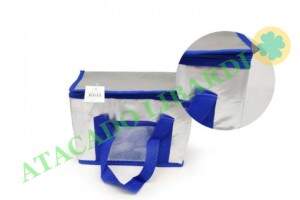 BOLSA TERMICA 8L 27X19X15CM BLT3104