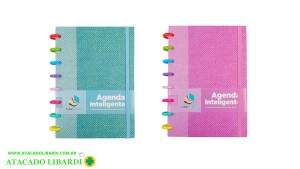 CADERNO 1/4  INTELIGENTE COLOR HA85163